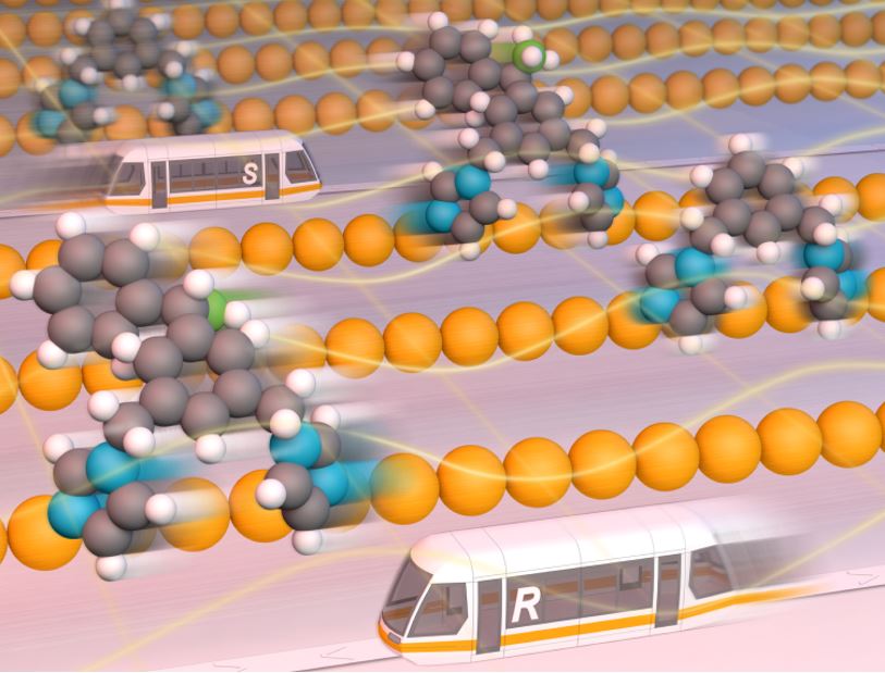 Controlling the preferential motion of chiral molecular walkers on a surface