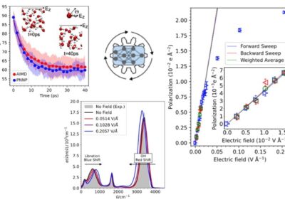 Machine learning the electric field response of condensed phase systems using perturbed neural network potentials