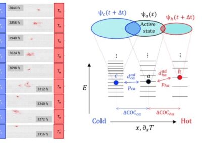 Thermoelectric transport in molecular crystals driven by gradients of thermal electronic disorder