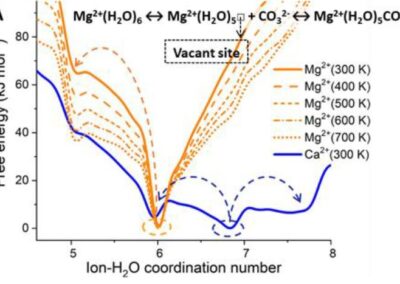 The role of solution additives in magnesium ion dehydration: implications for the mineralization of CO2 to added-value carbonate materials