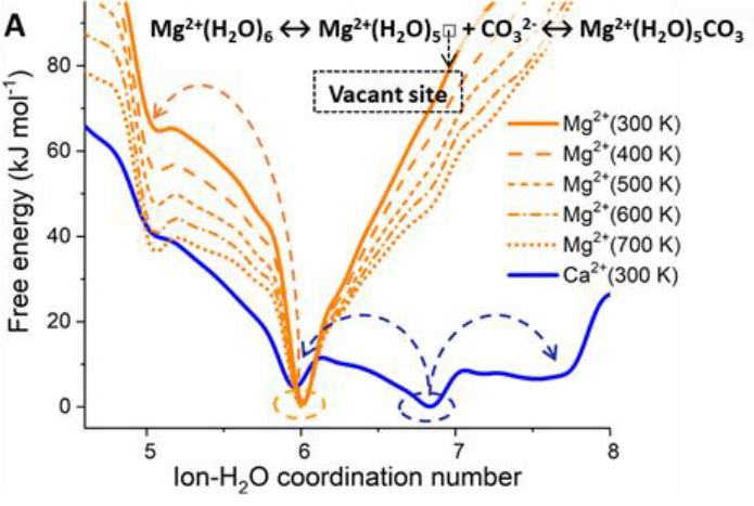 The role of solution additives in magnesium ion dehydration: implications for the mineralization of CO2 to added-value carbonate materials